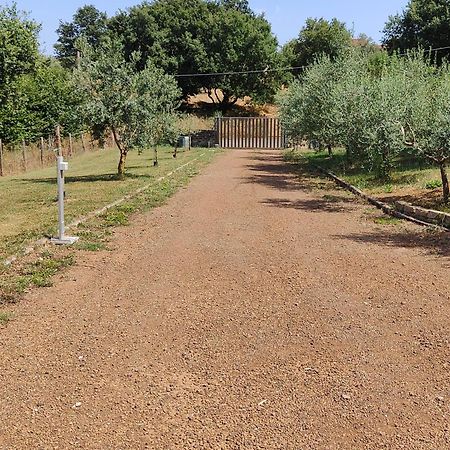 Il Melarancio B&B Monterosi Εξωτερικό φωτογραφία