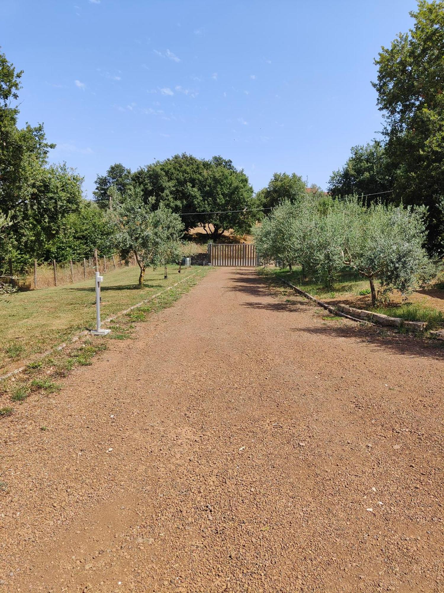 Il Melarancio B&B Monterosi Εξωτερικό φωτογραφία